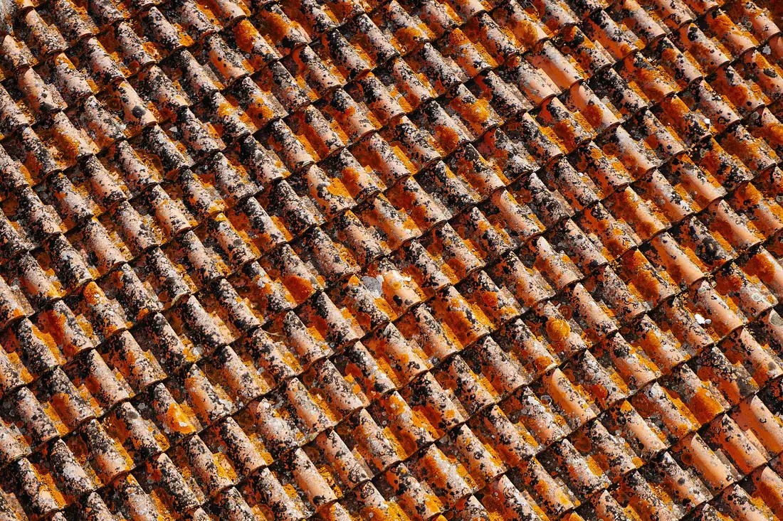 Close-up of rows of orange terracotta clay roof tiles spotted with lichen