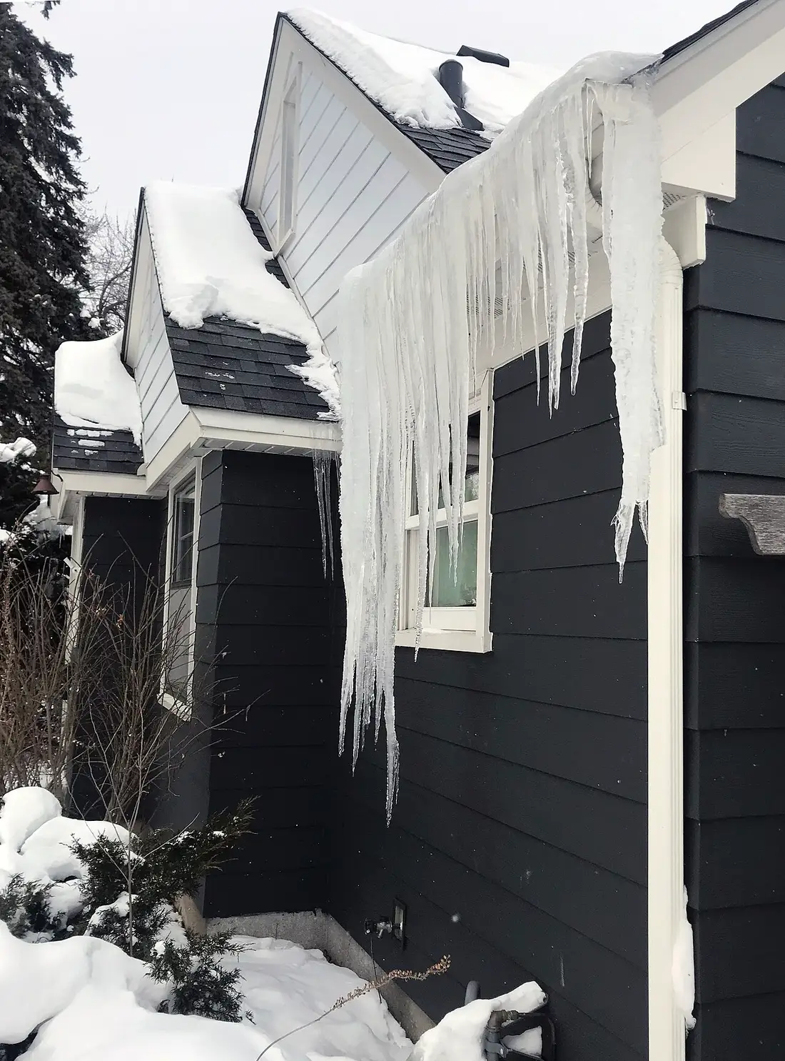 Large ice dam and icicles hanging from the gutter of a snow-covered story-and-a-half house in Minnesota