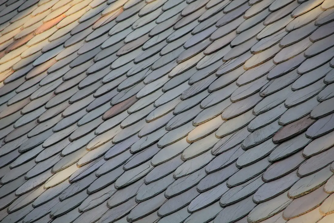 Close-up of overlapping natural slate roof tiles in warm evening light